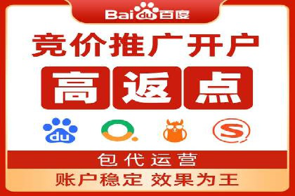 百度SEO优化公司案例详解：如何制定有效的推广计划